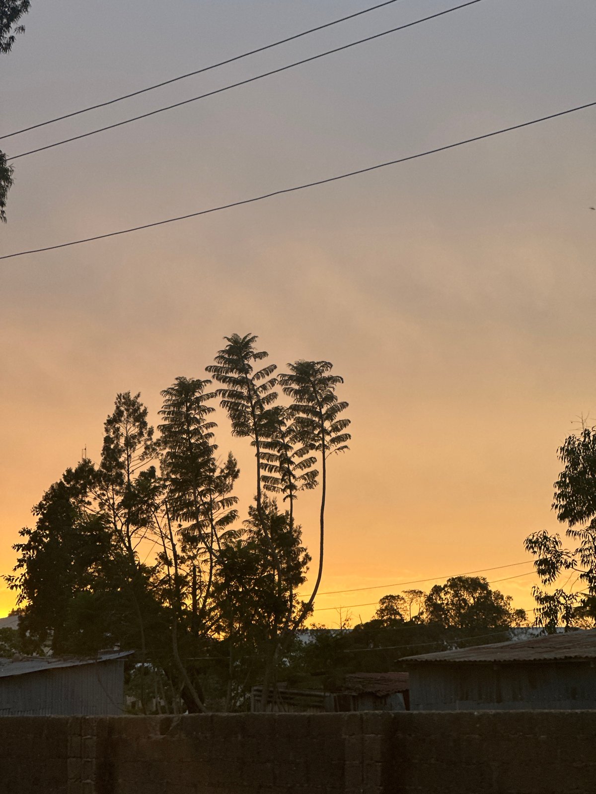 Sunset observed over Bukuru, Nigeria with silhouetted trees