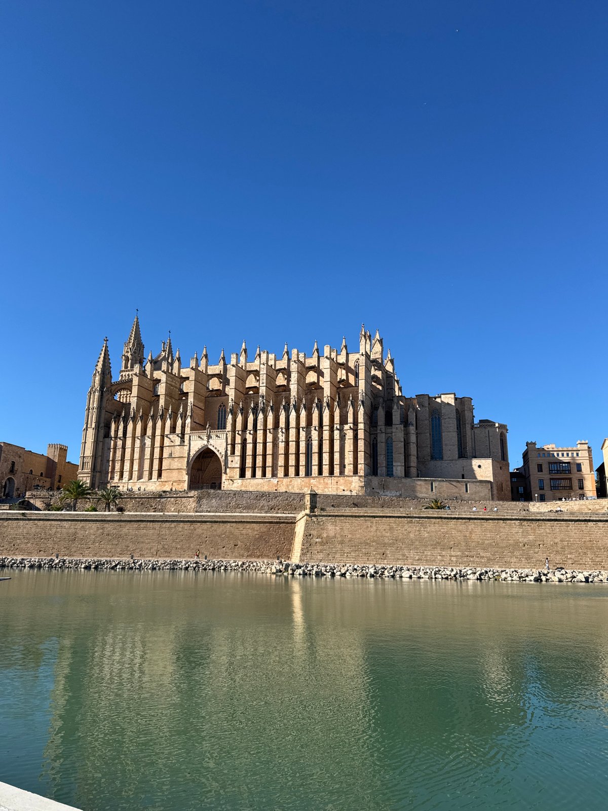 Gothic Cathedral La Seu observed in Palma, Spain
