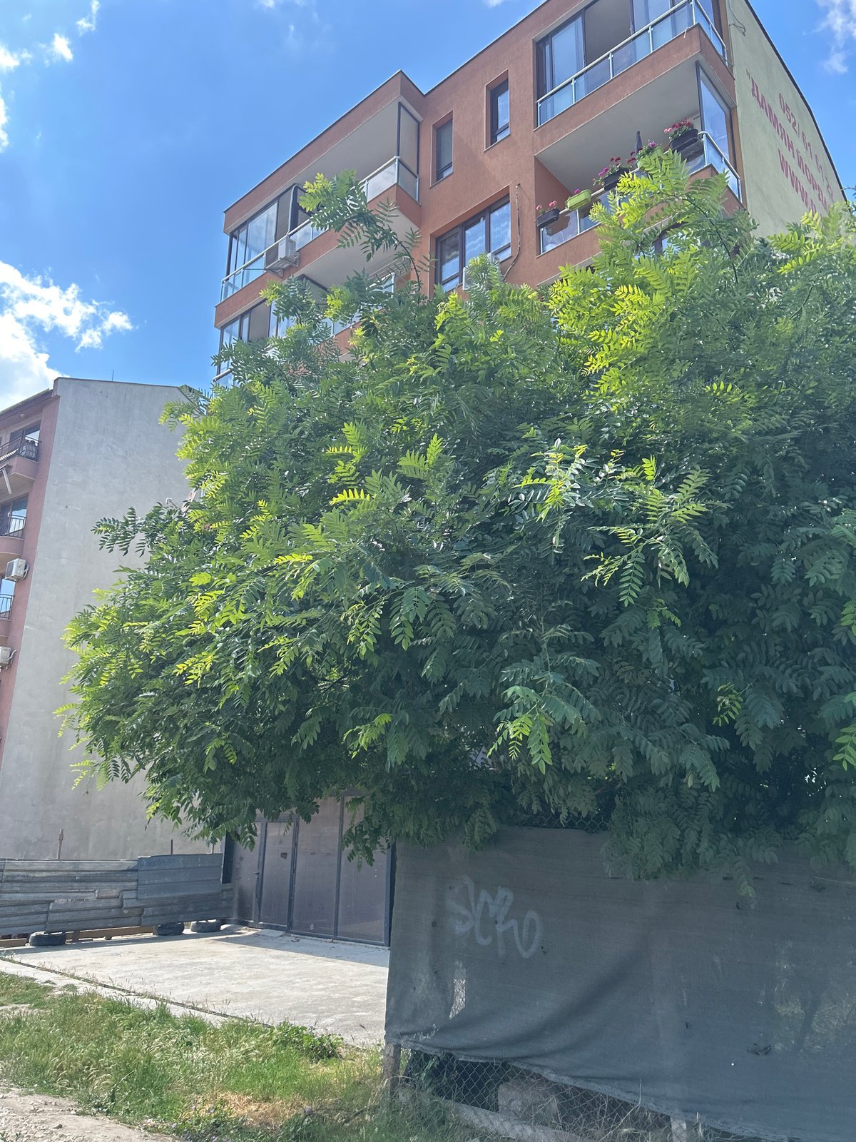 Street-level sweep through urban Varna on a summer afternoon