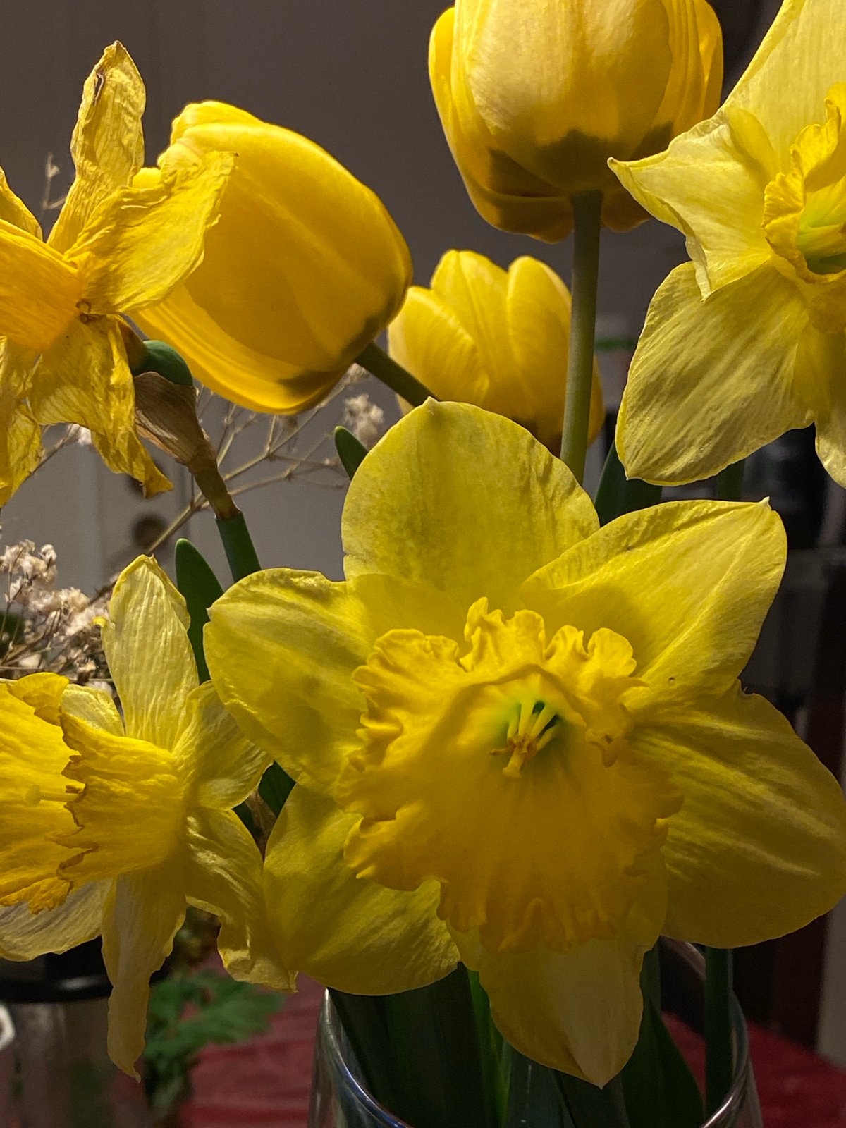 Spring flowers and quiet moments documented in Swedish home