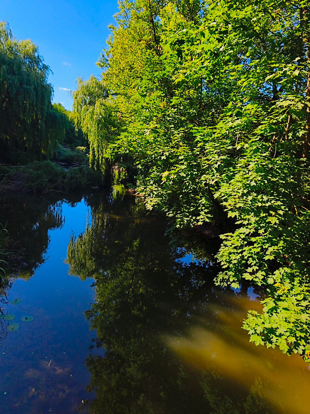 Ternopil Pond and parkland on a sunny summer afternoon
