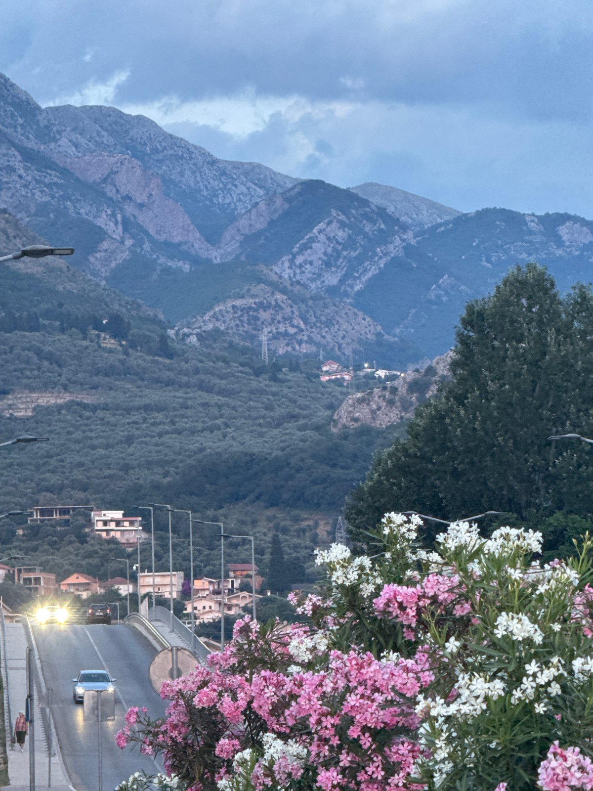 Bar, Montenegro at dusk: streets, blooms, and city lights
