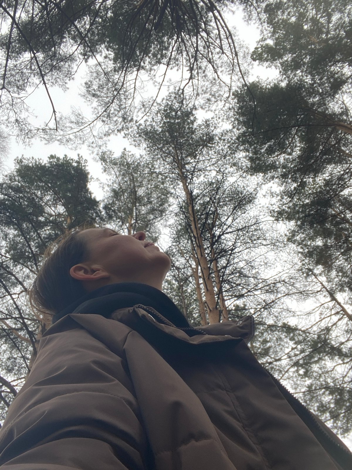 Forest visitor documented gazing upward in Chaikovsky woodland