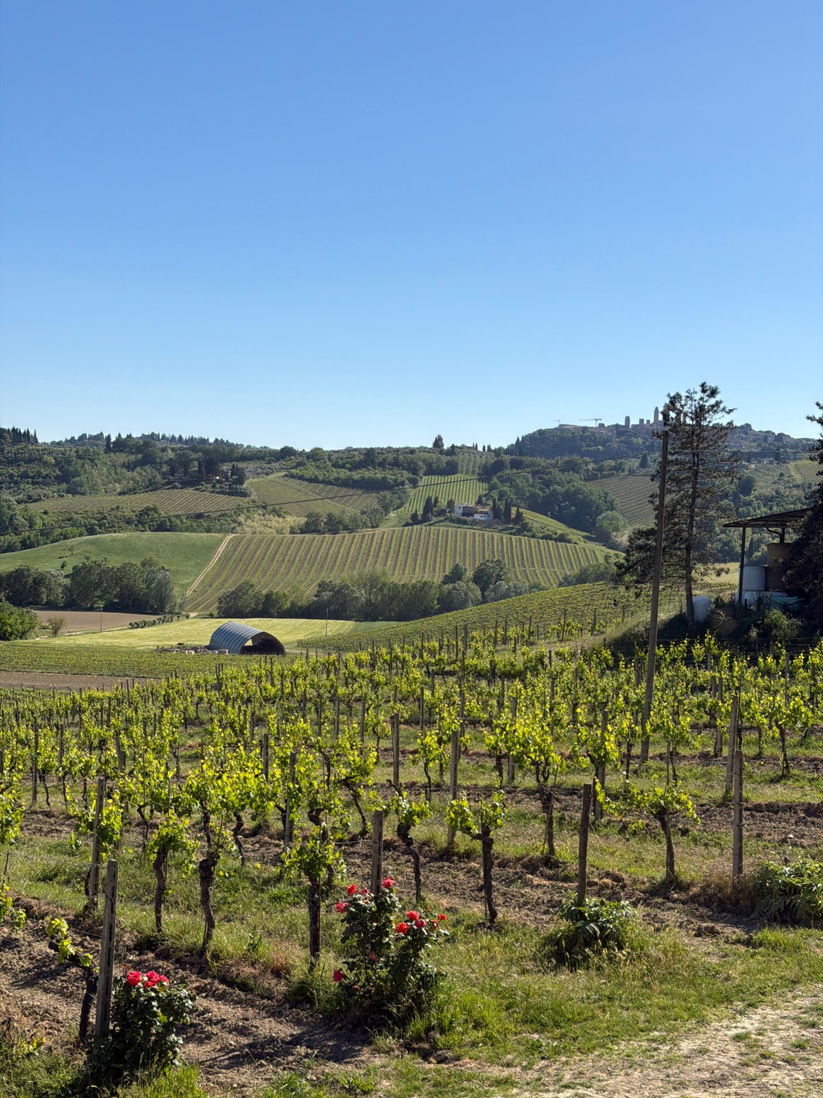 Tuscan farm life documented in Ulignano countryside