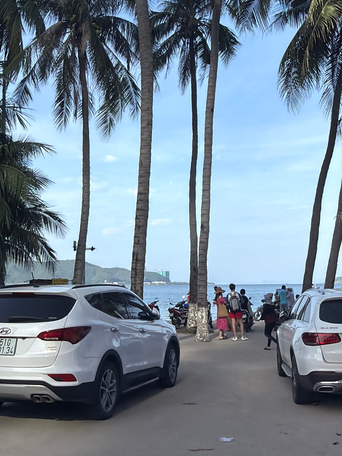 Palm-lined coastal road observed in Nha Trang, Vietnam