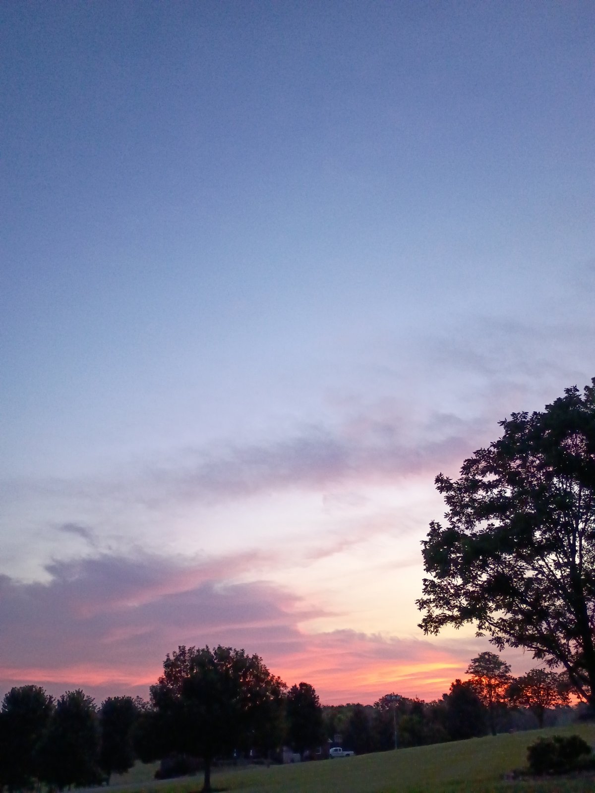 Twilight sky and silhouettes over Versailles, Kentucky