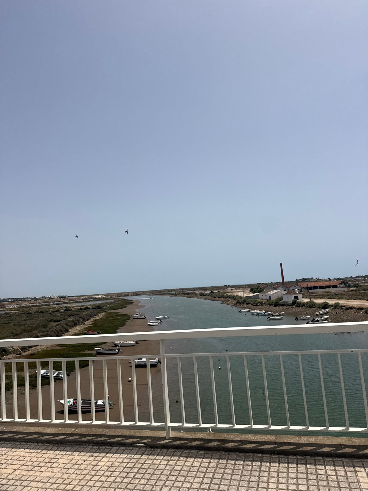 Elevated waterfront view documented from building balcony