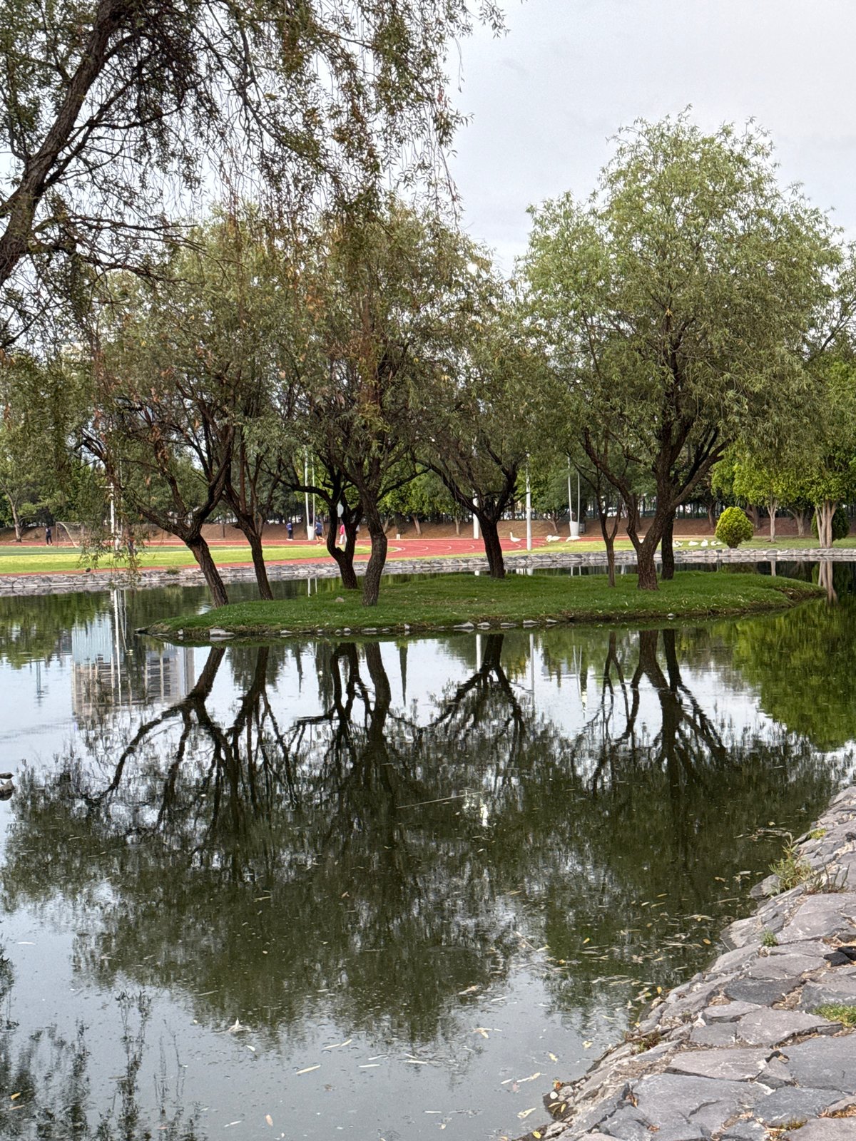 Late-night scenes from Puebla sports complex and pond area
