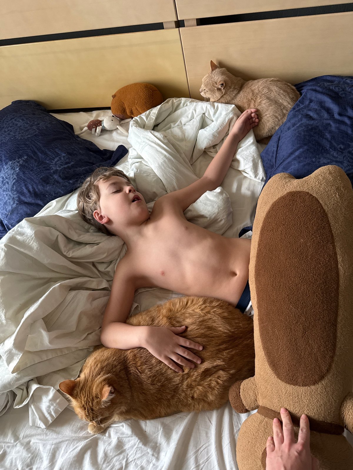 Child sleeping peacefully in Krasnoyarsk bedroom