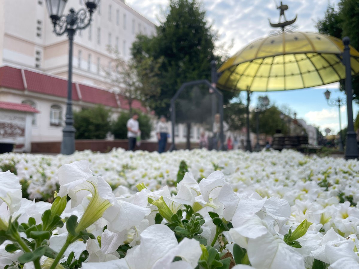 Live music and street life on a Brest pedestrian strip