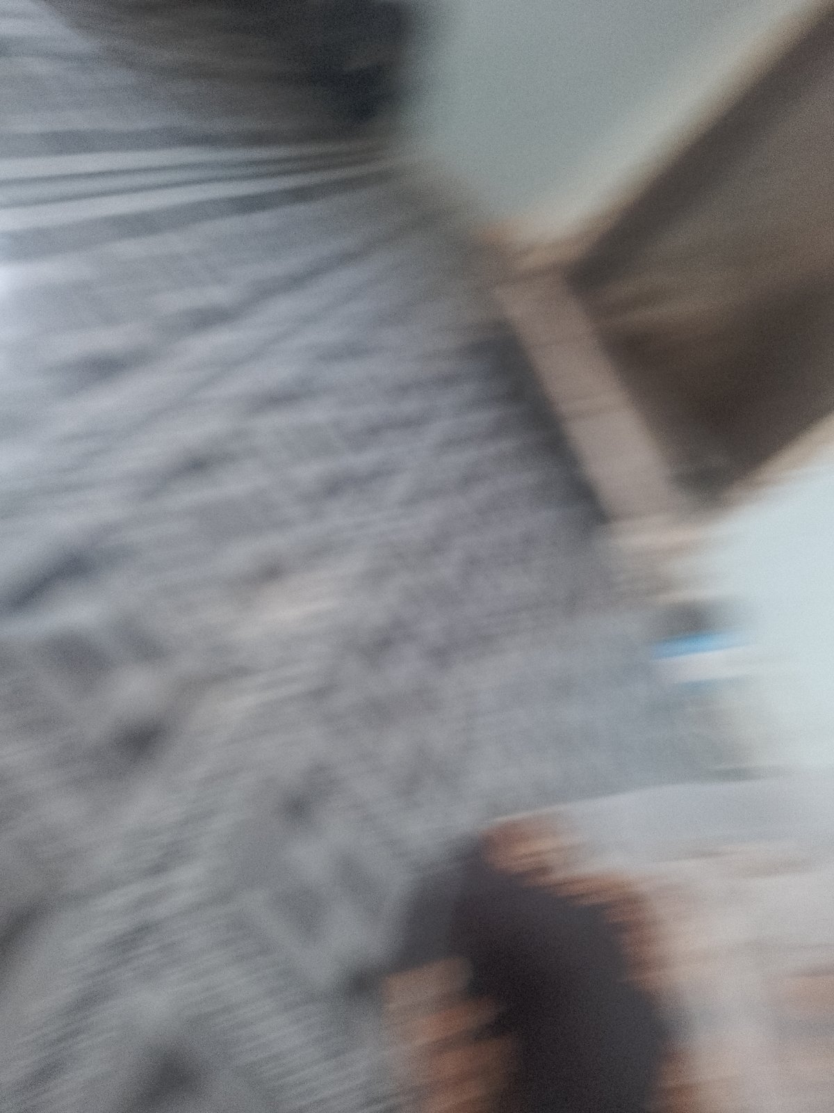 Personal belongings scattered across a patterned bedroom floor