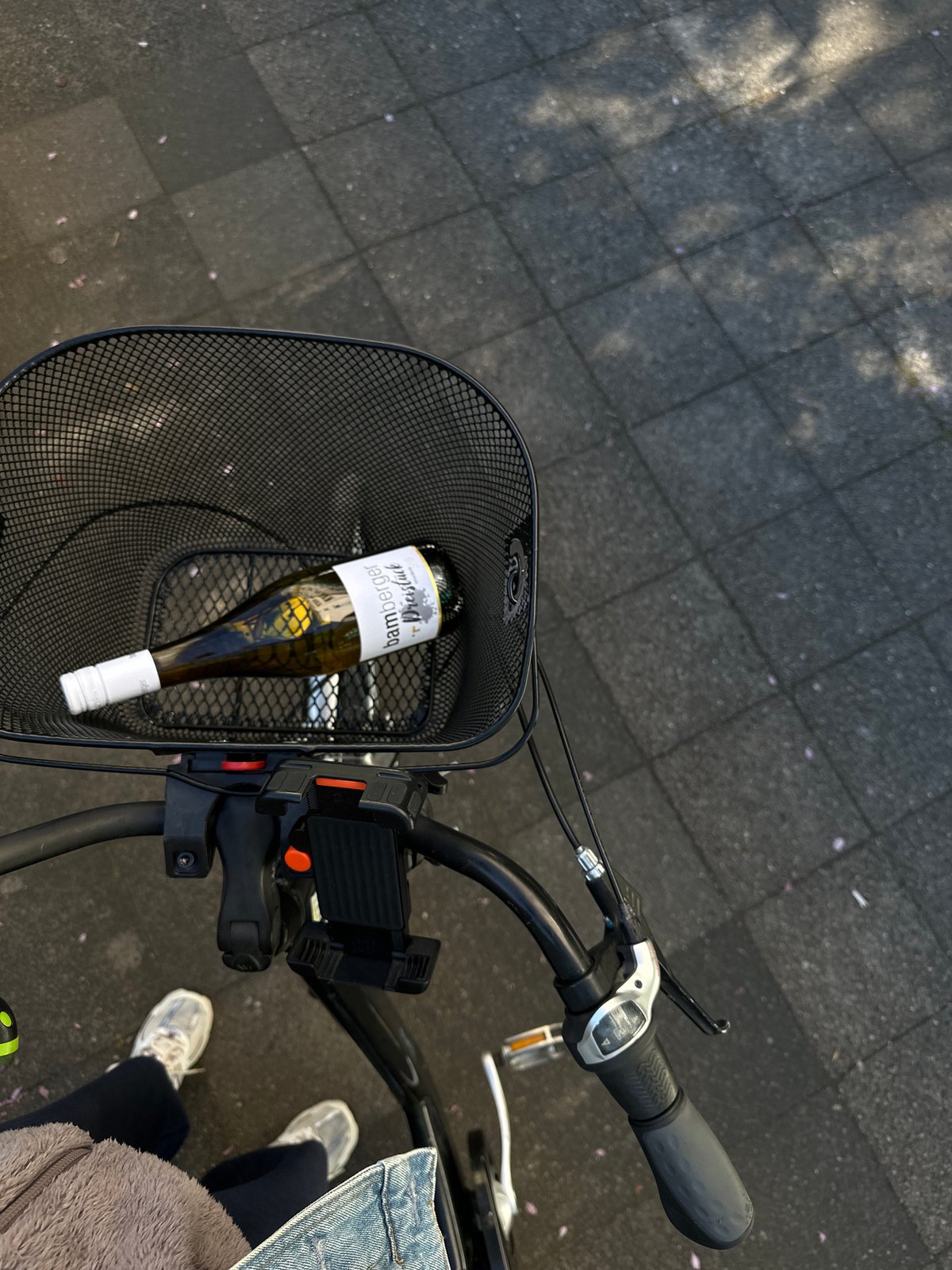 Cyclist carries wine bottle in basket through Kiel