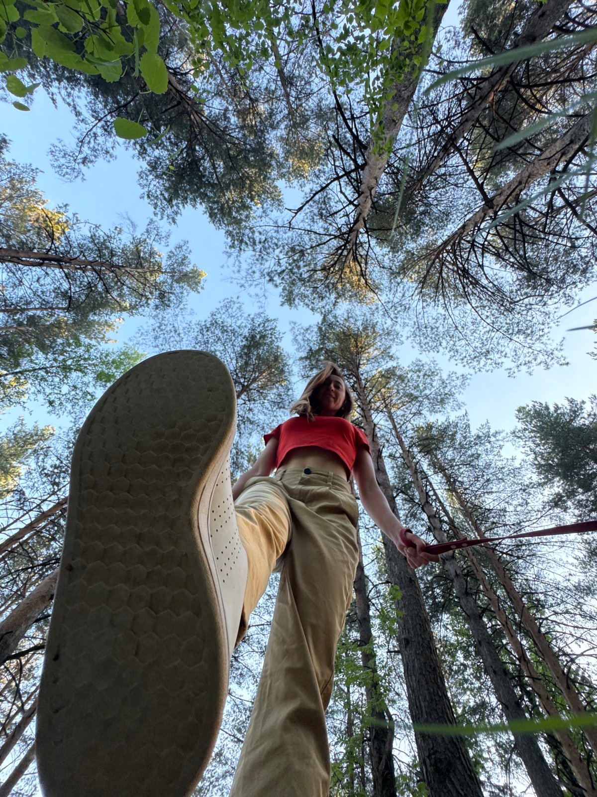 Woman jogs with dog in Russian forest while filming