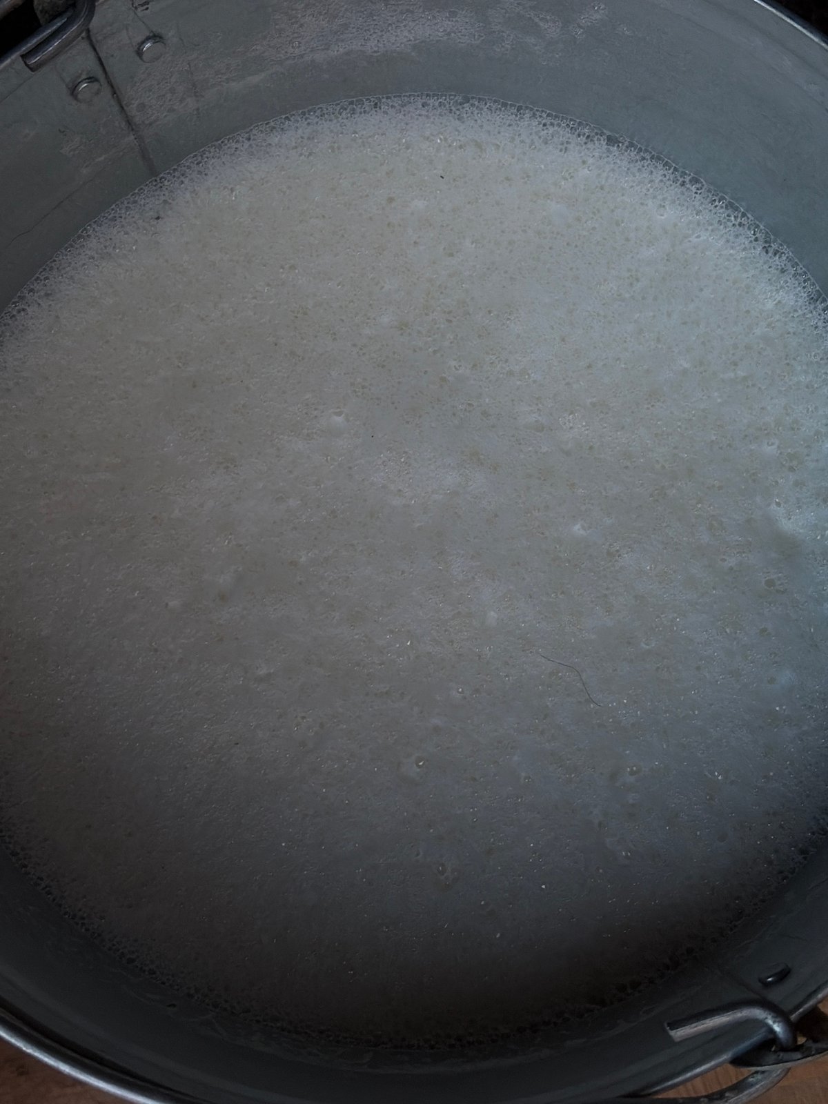 Foamy white liquid observed in metal bucket in rural Russia