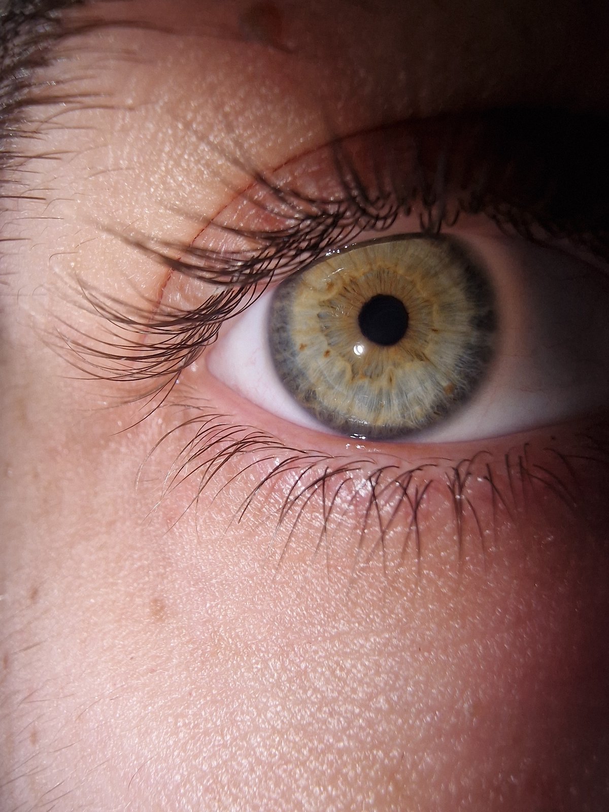 Eye closeup and sunny sky views captured through glass