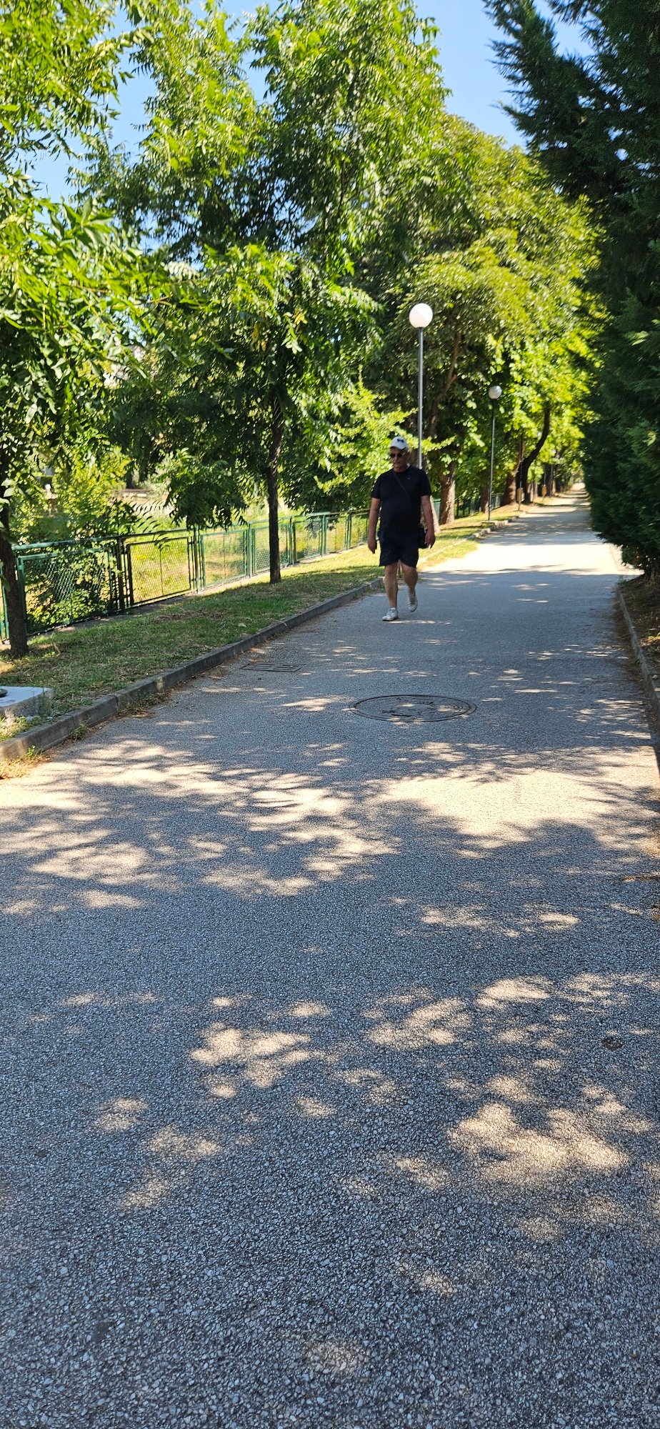 Summer morning stroll through a tree-lined Blagoevgrad park