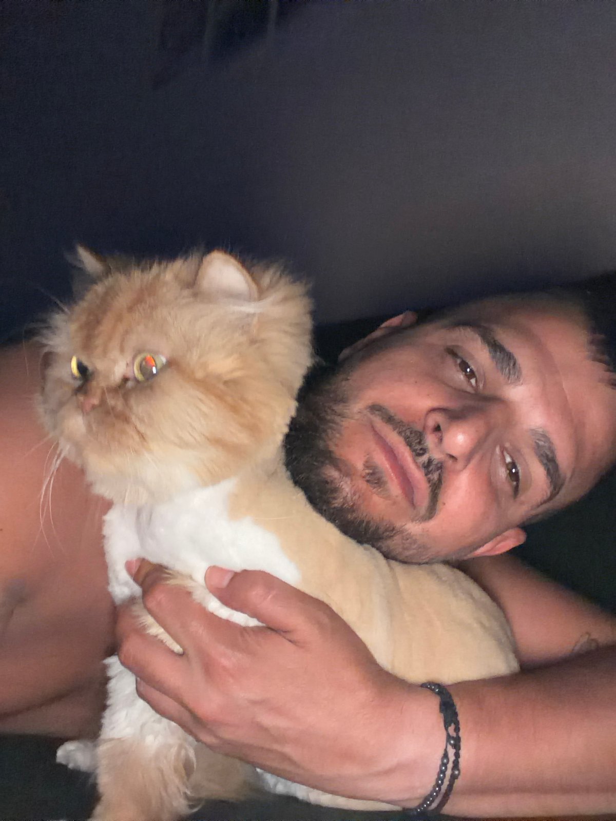 Man shares quiet evening moments with tabby cat in Sofia