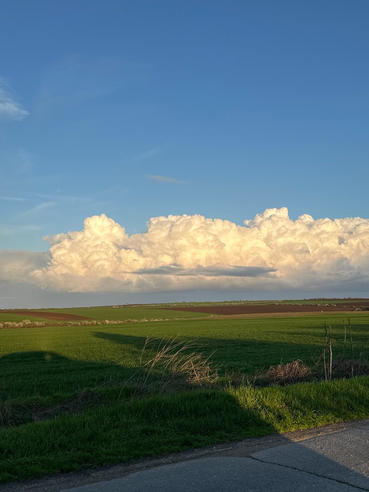 Dramatic storm cloud observed over Bulgarian farmland