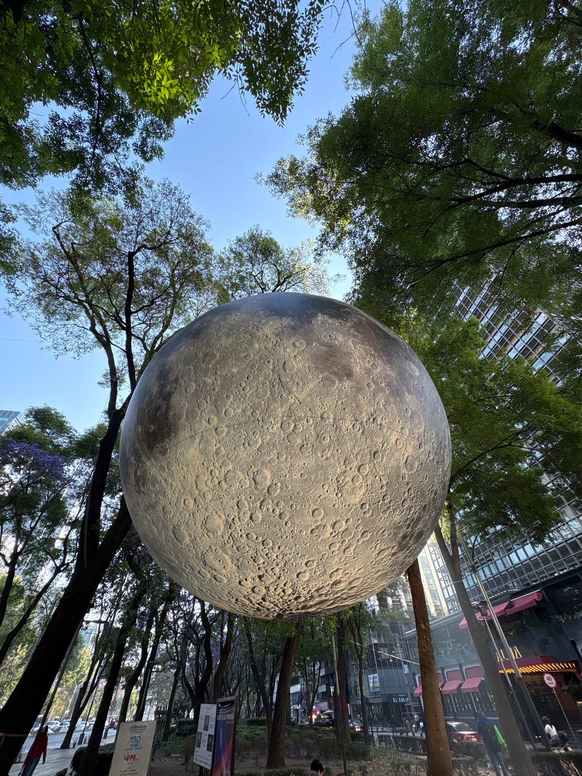 Public art tour documented along Mexico City's Paseo de la Reforma