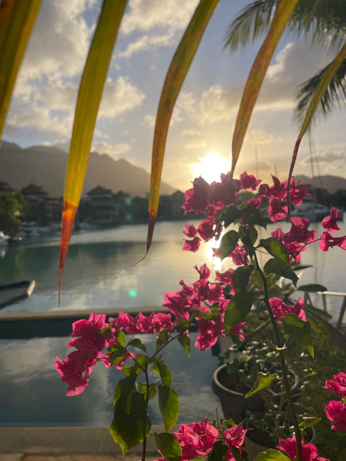 Golden hour at Providence harbor, Seychelles