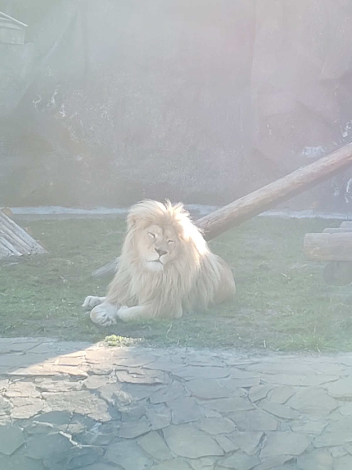 Zoo visitor documents afternoon trip in Izhevsk, Russia