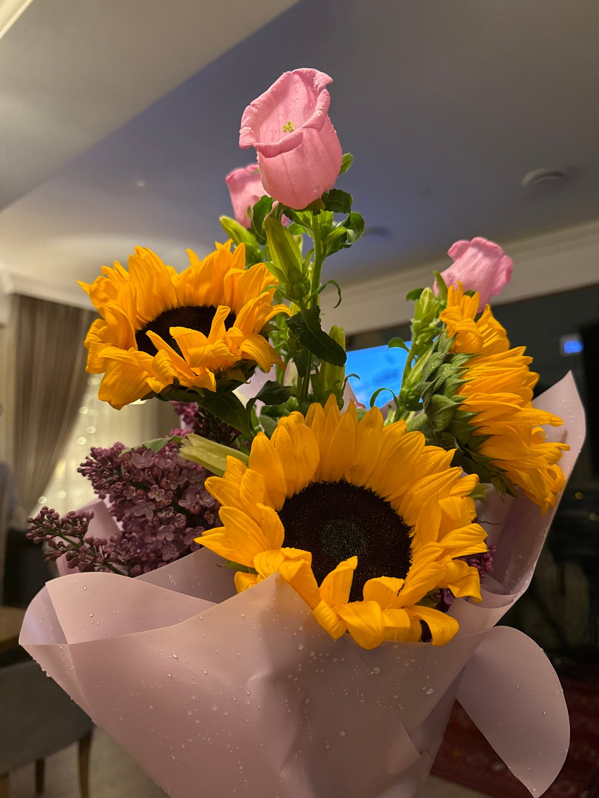 Moscow residents capture quiet evening moments with flowers, tea