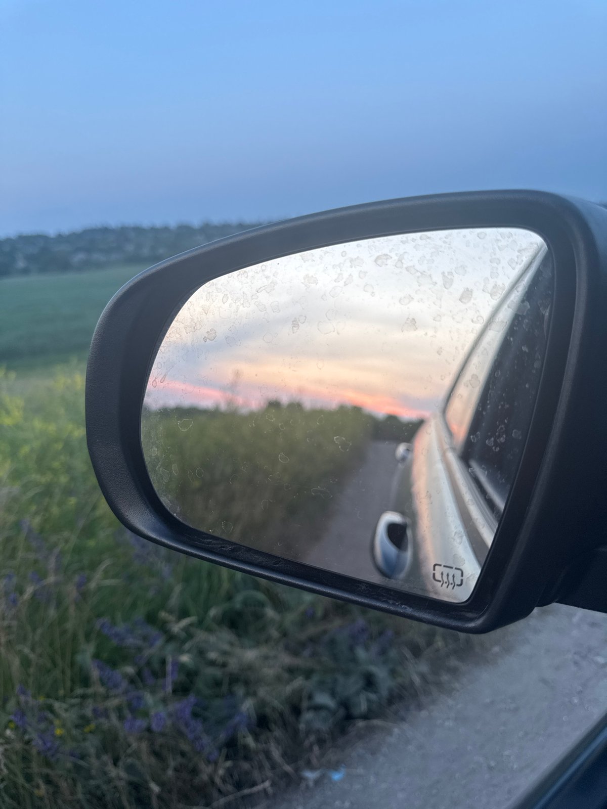 Twilight drive through open fields with horses and wildflowers