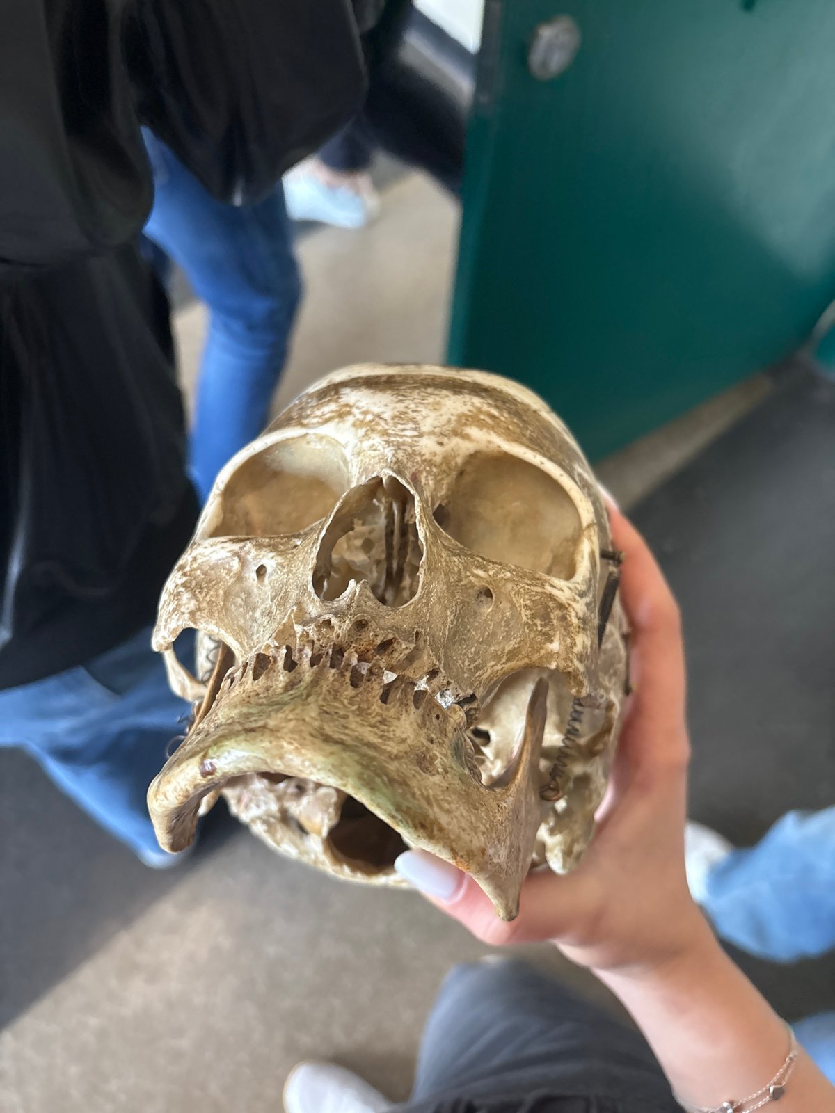 Science students study anatomy with microscopes in Bulgaria classroom