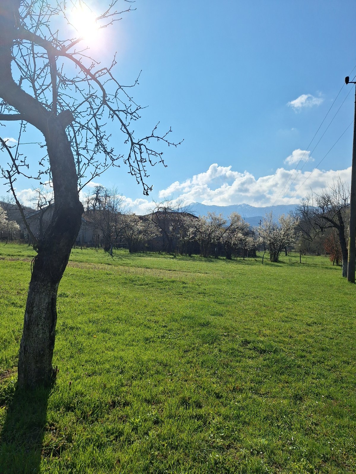 Spring blooms documented in Bulgarian mountain town Apriltsi