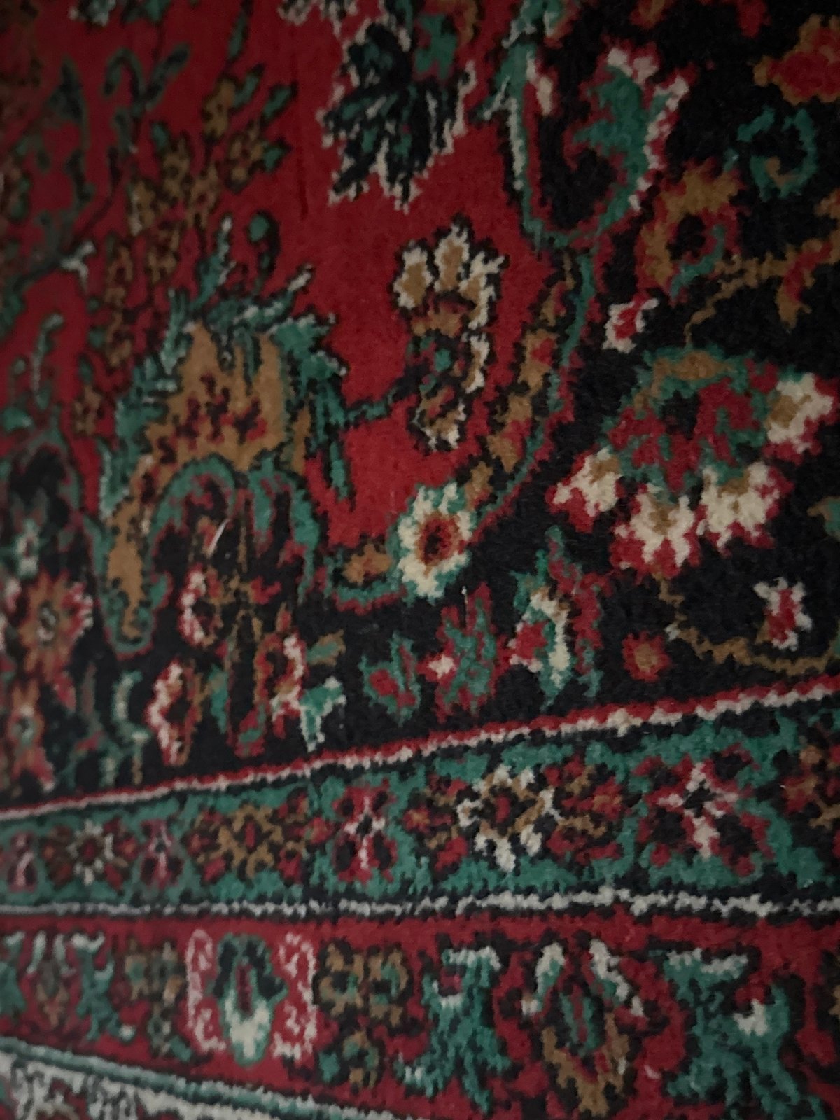 Daily life moments captured across Chaikovsky, Russia