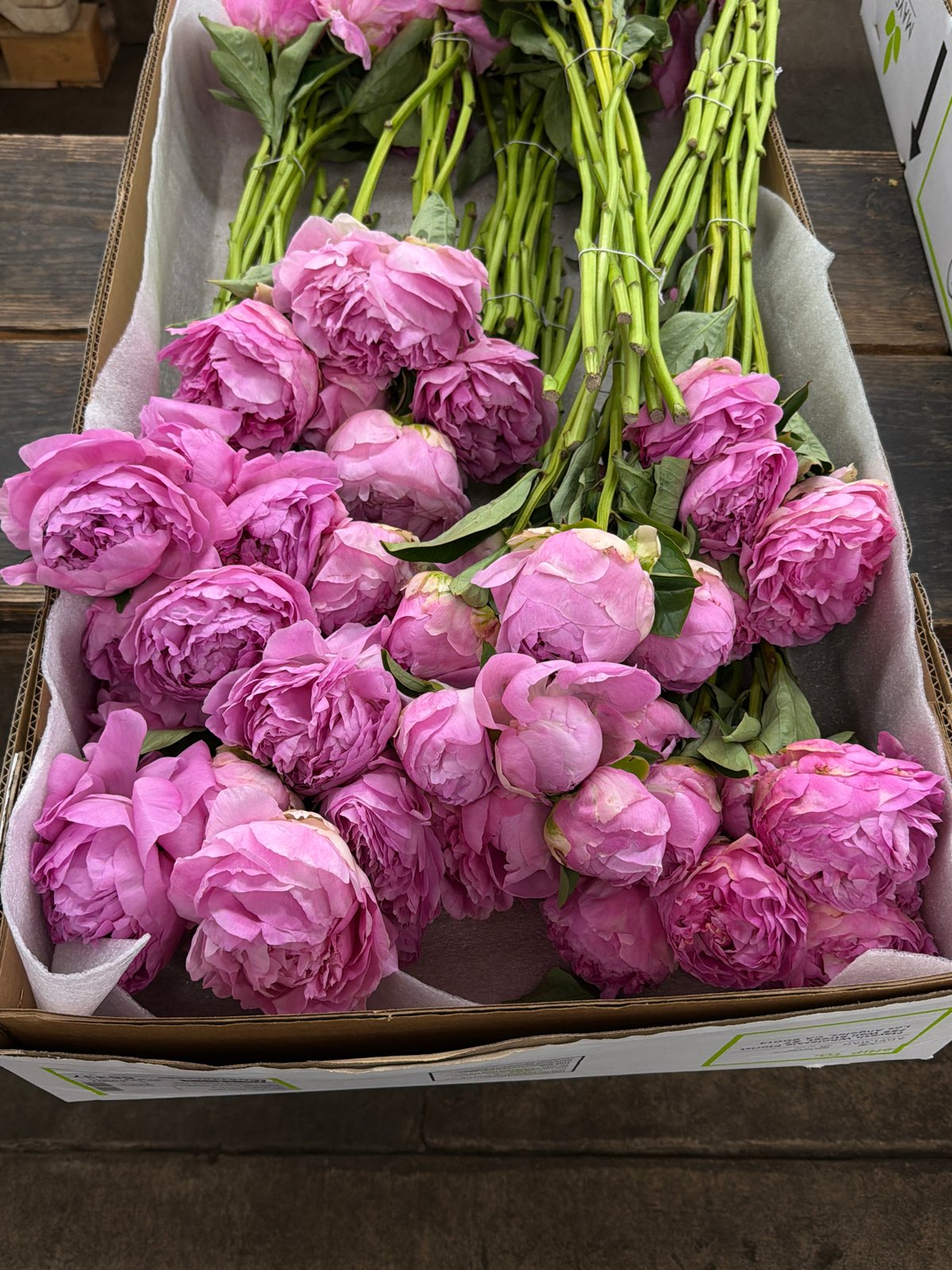 Downtown LA flower market operations documented during afternoon hours
