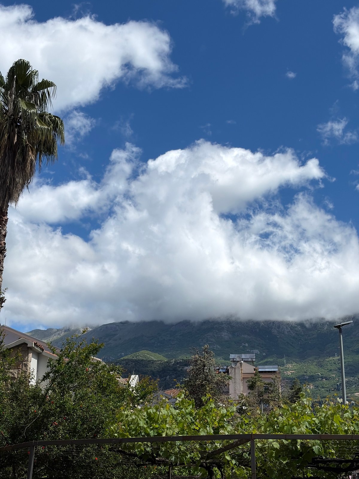 Daily life documented across Budva streets and private spaces