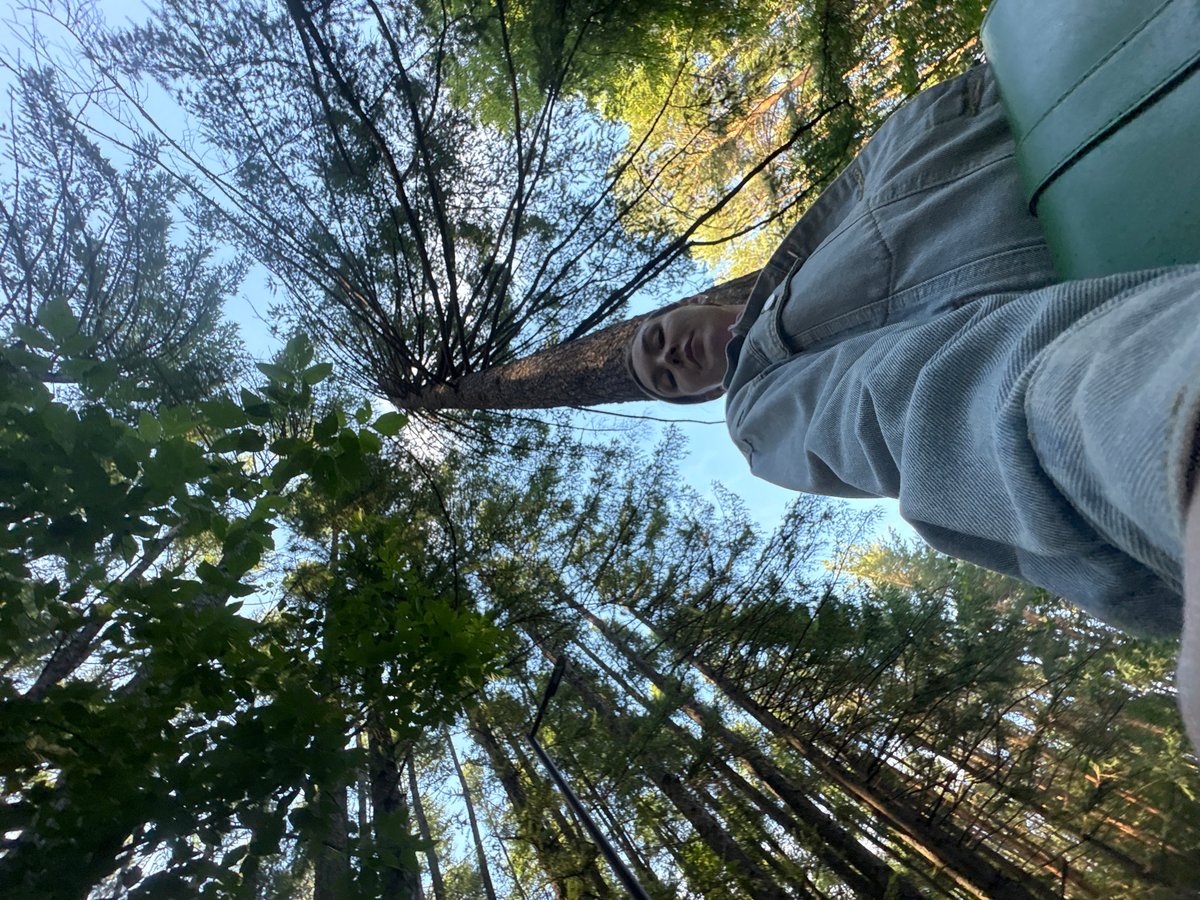 Afternoon in an Izhevsk park, forest selfies and a bench stop