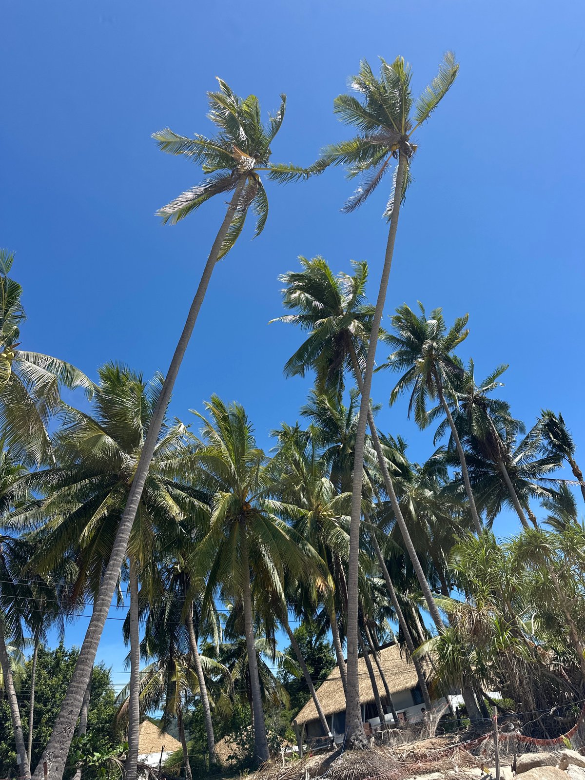 Relaxed beach setup on a sunny morning in Baan Tai