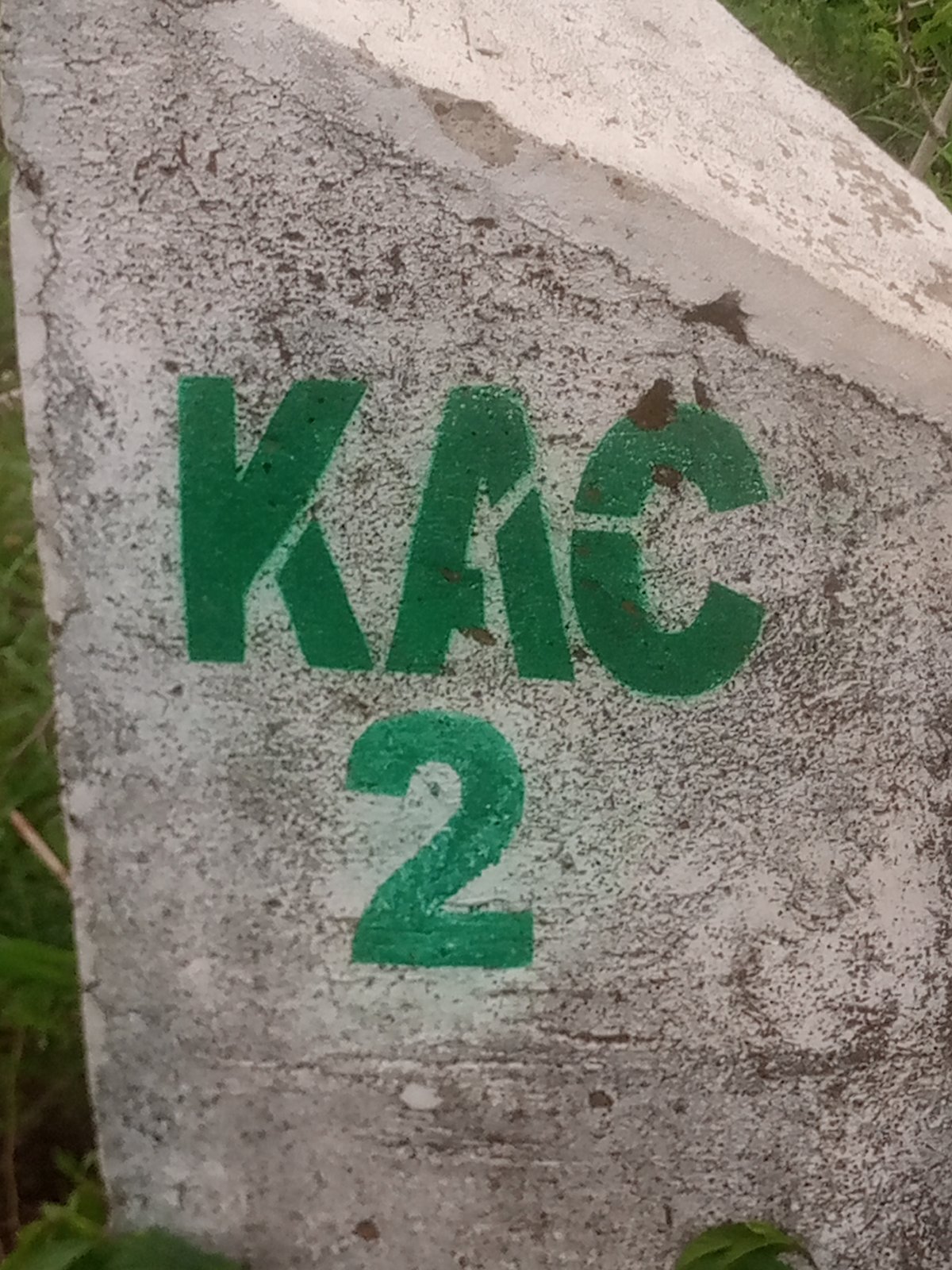 Rural scenes: markers, livestock, paths, and wet vegetation