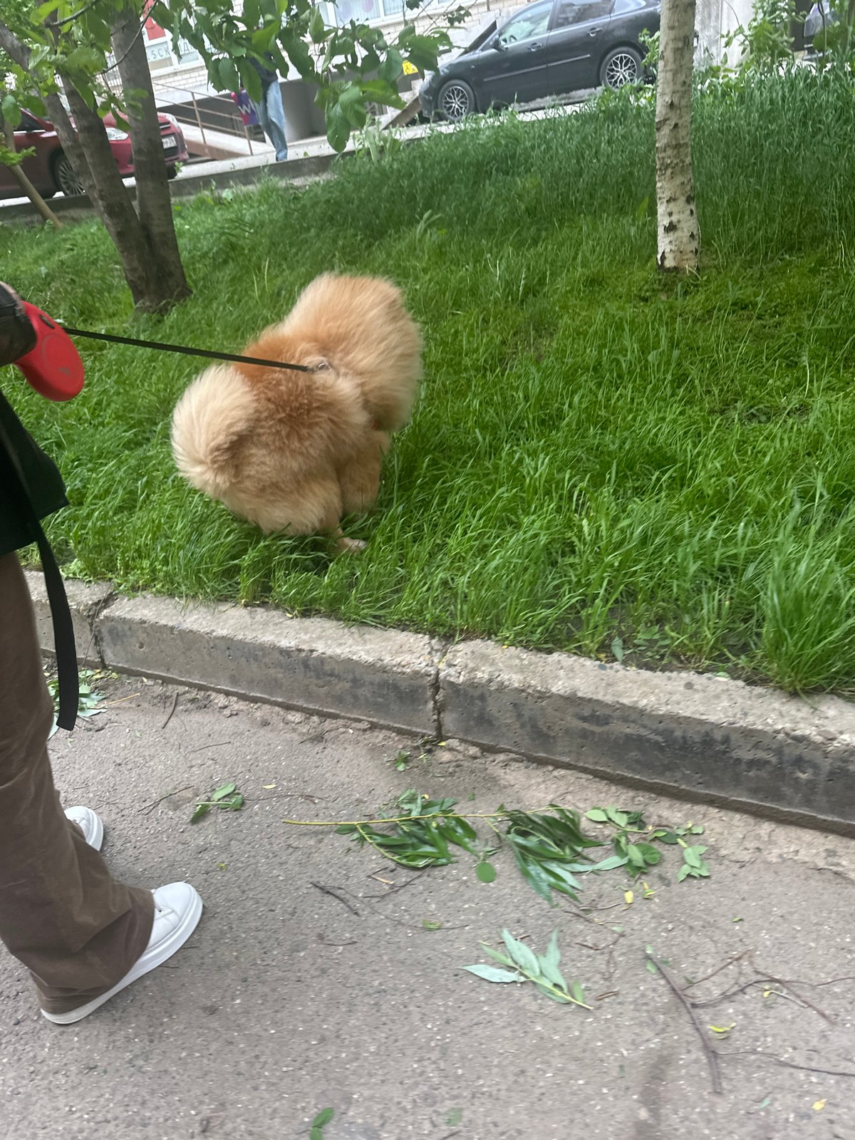 Everyday street life documented across Stavropol, Russia