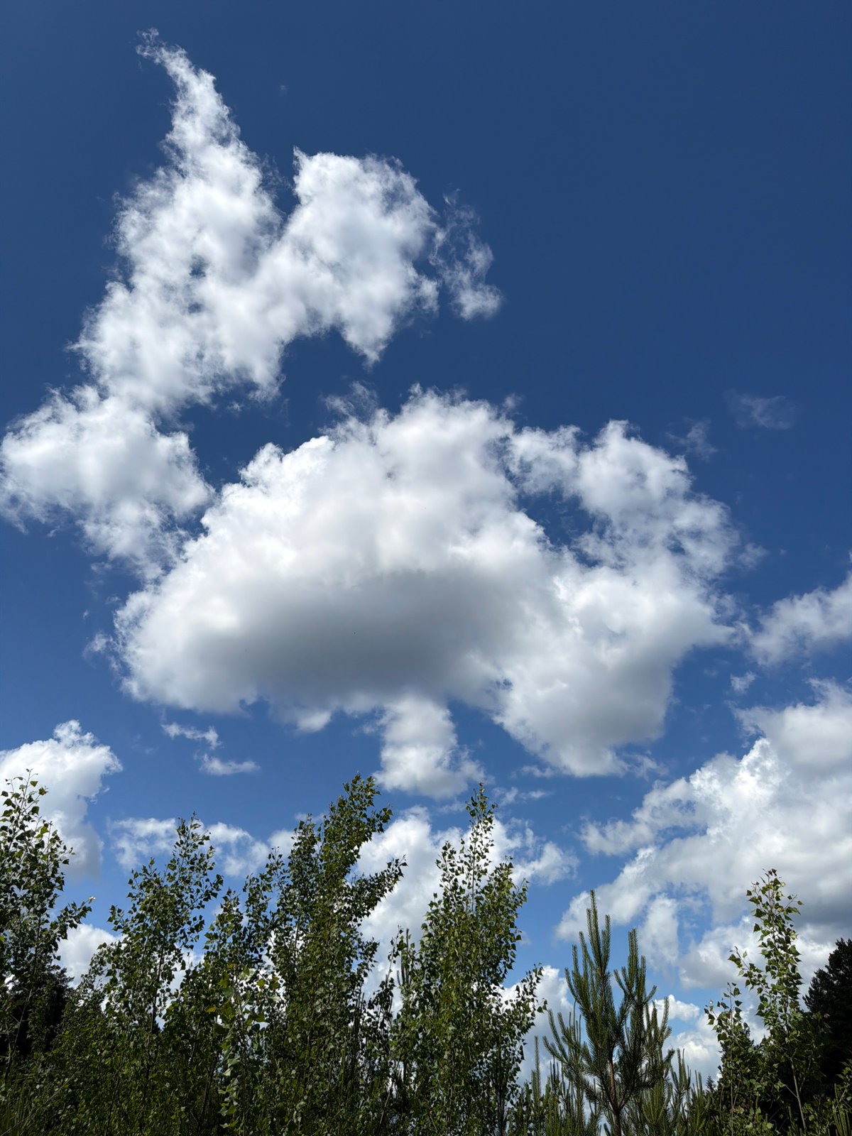 Clear sunny weather observed across Prikamskiy, Russia