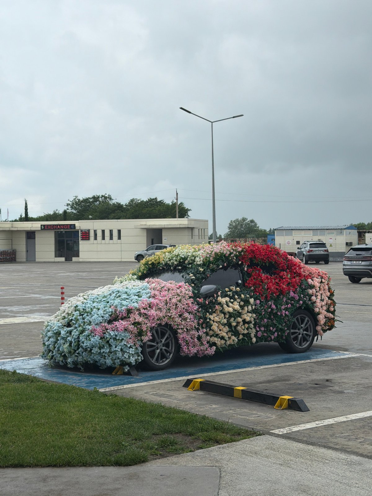 Flower-covered car installation parked outdoors in Siktarva, Georgia