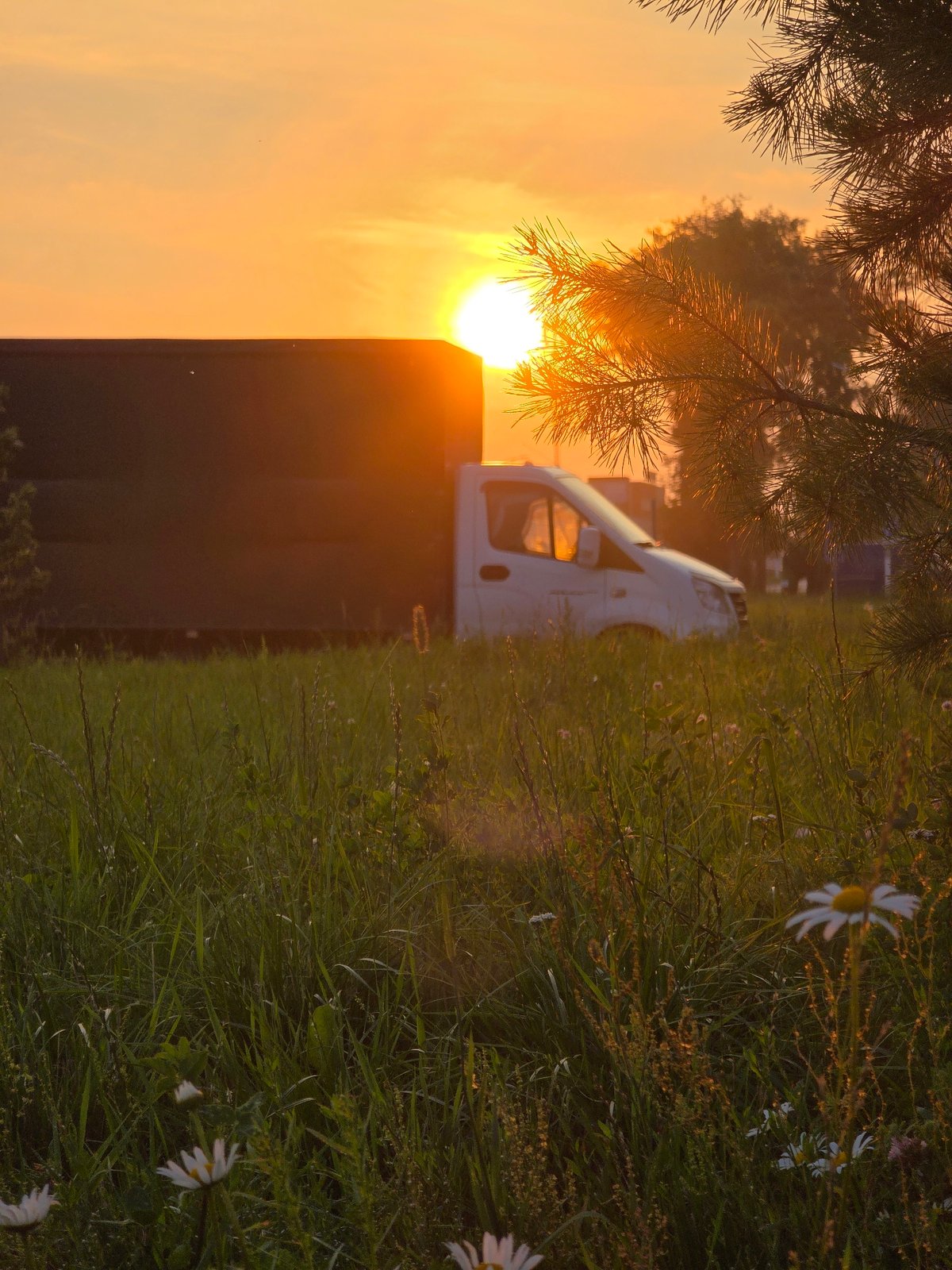 Summer sunset in Chaikovsky: nature details and an evening stroll