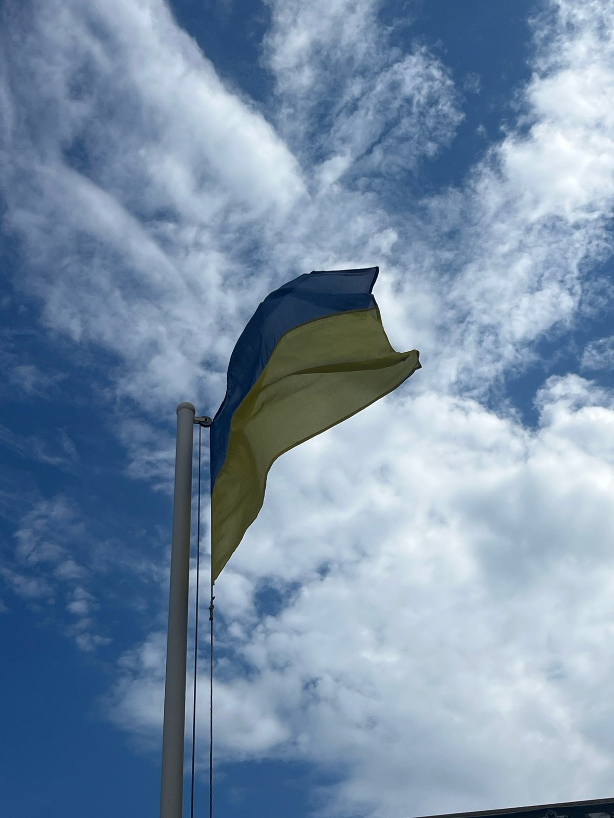 Summer market produce and everyday life in Fontanka, Ukraine