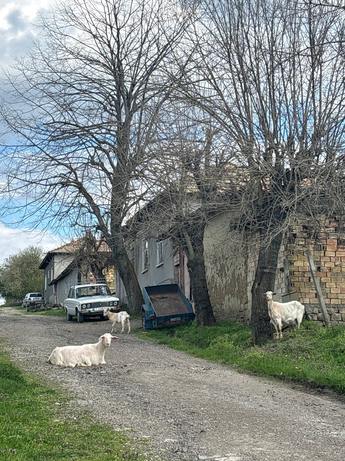 Farm machinery spotted in rural Bulgarian village of Presian