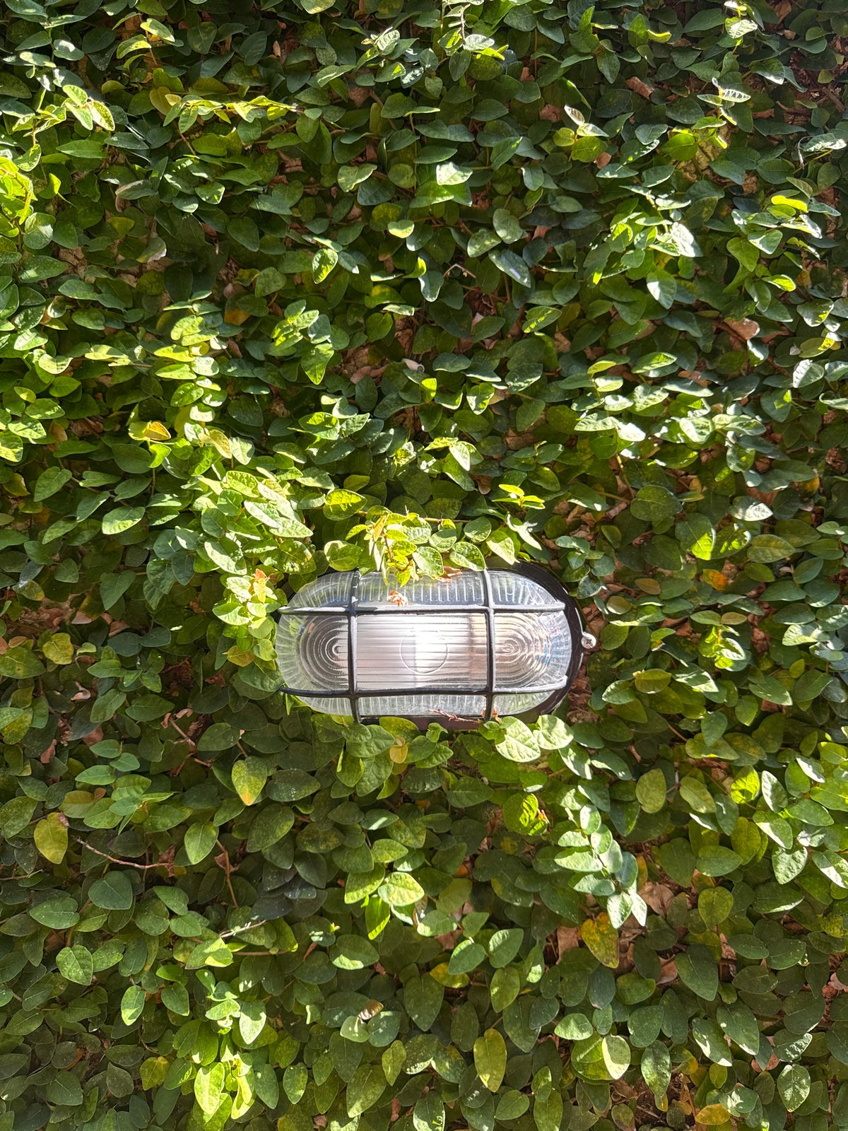 Mixed urban scenes documented in six-minute window