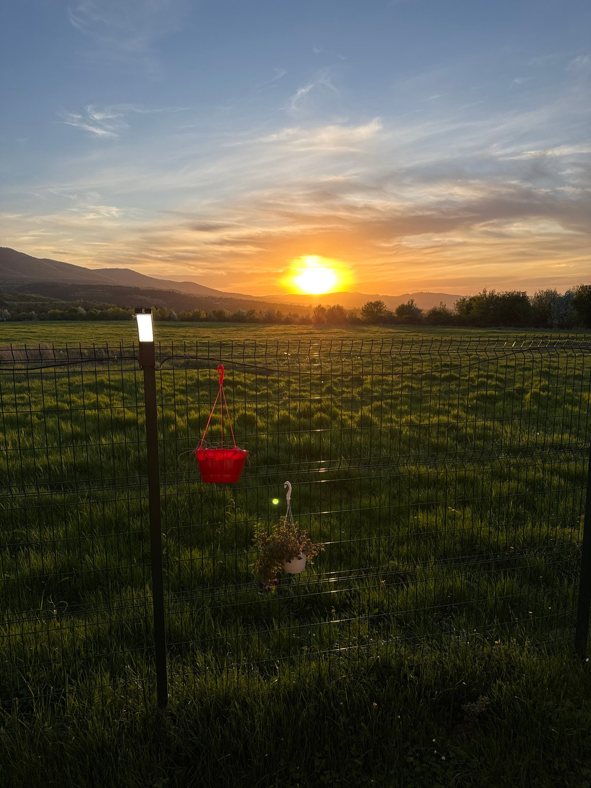 Sofia resident captures sunset and casual evening moment