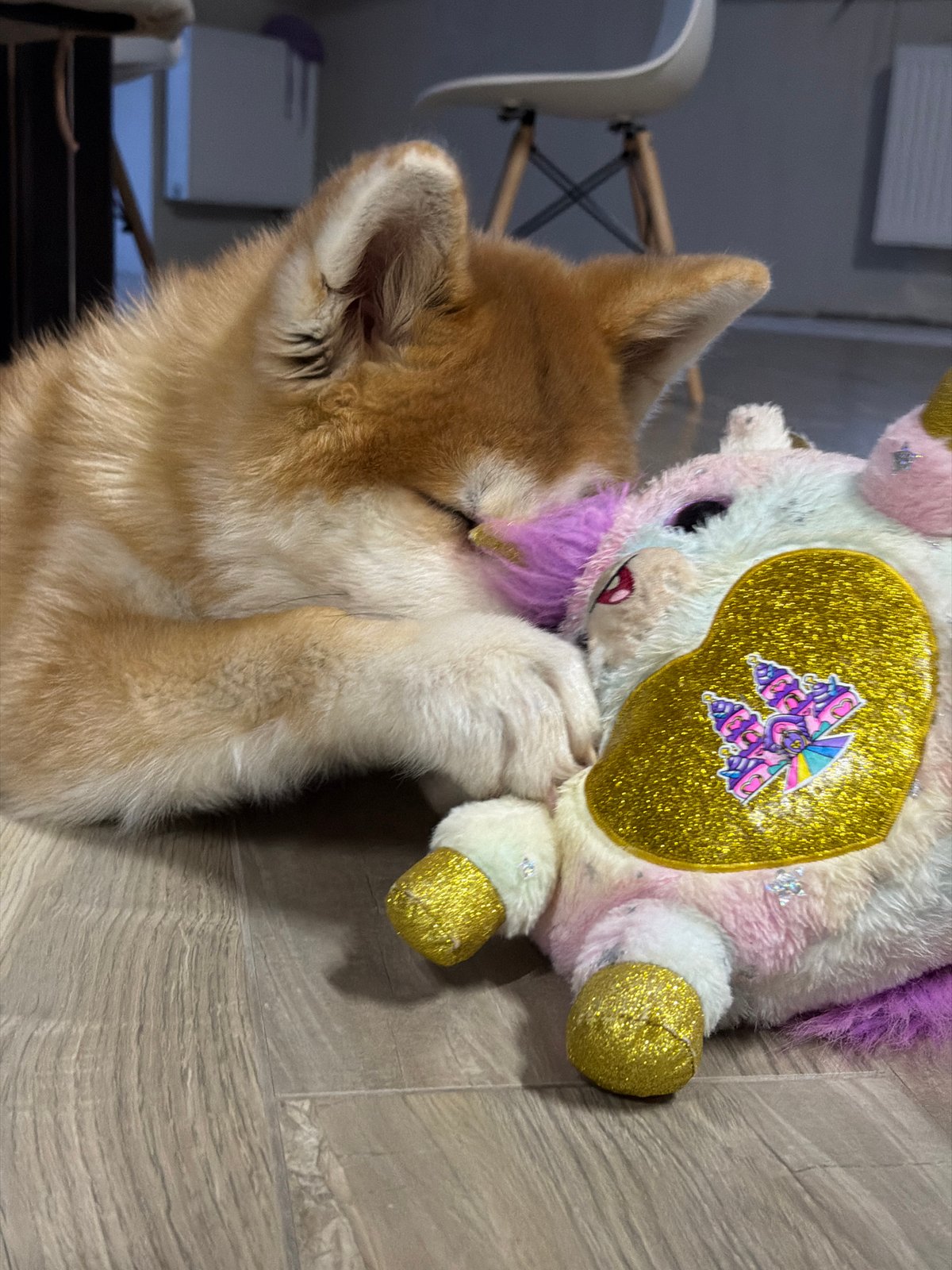 Dog plays with unicorn toy in Chaikovsky home