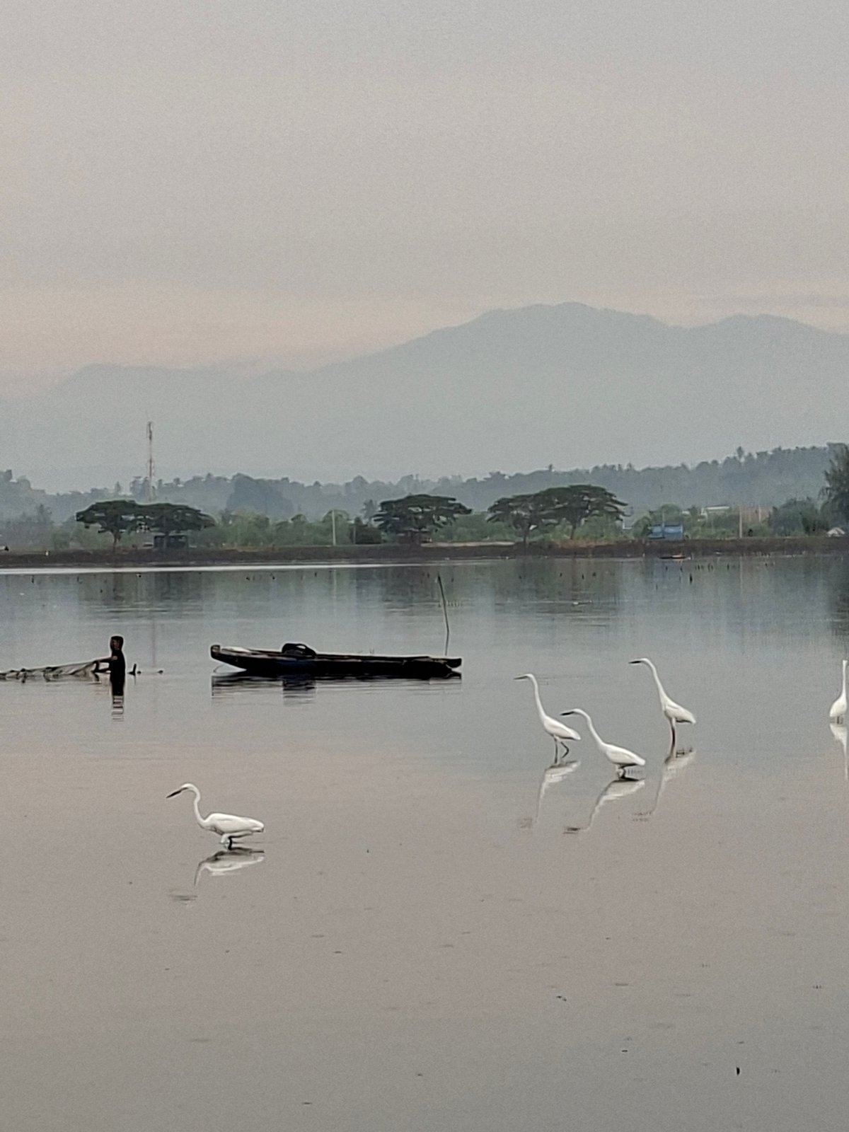 Dawn fishing scene with egrets documented in Lhokseumawe waters