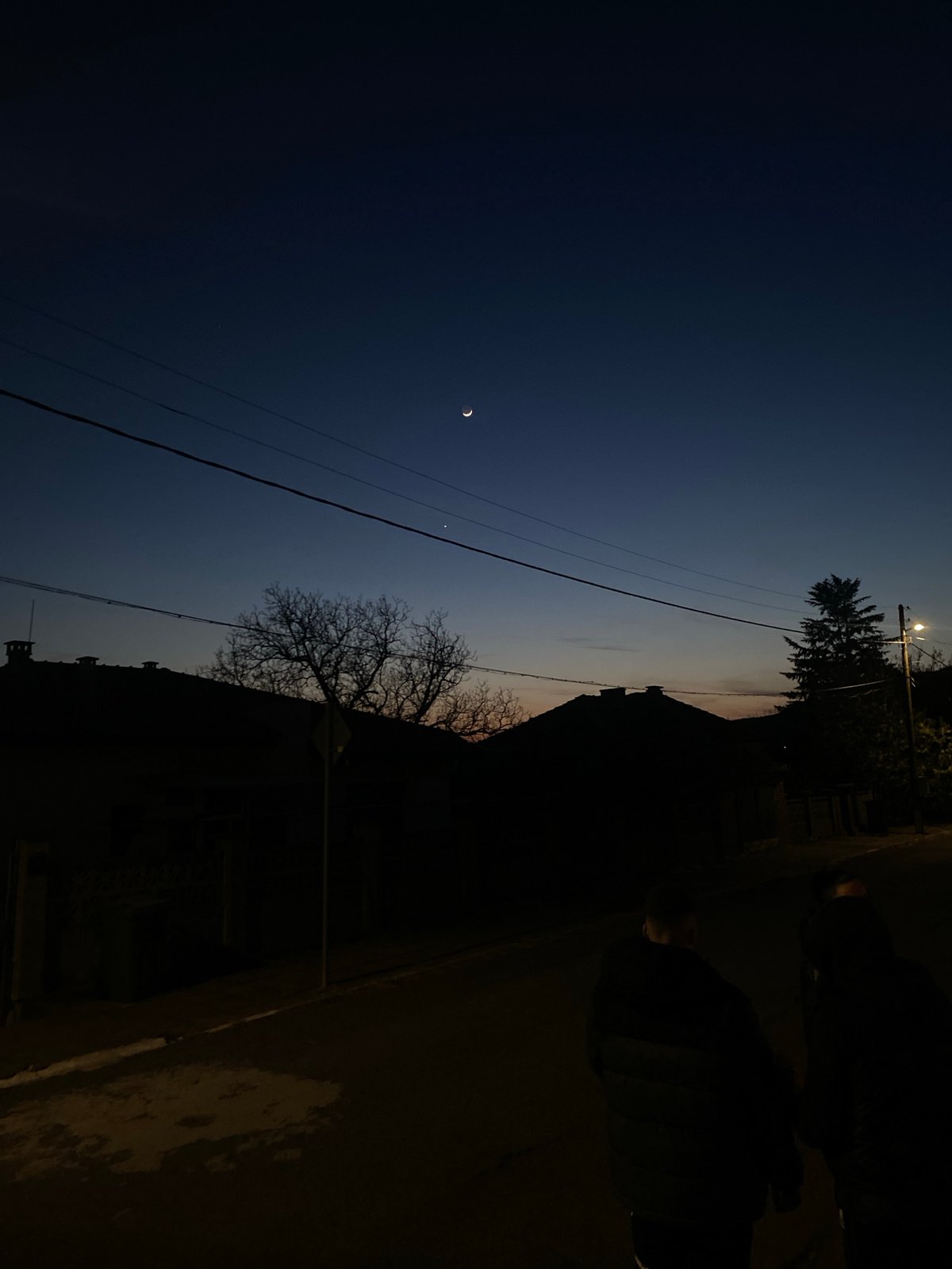 Evening life captured in Goritsa: crescent moon, birds, cats