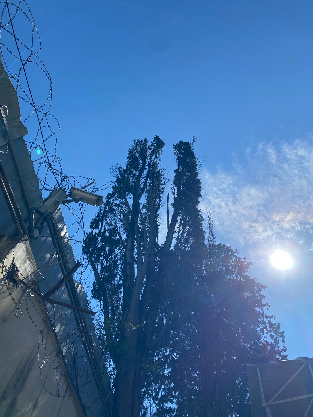 Morning skyward views captured in Sochi residential area