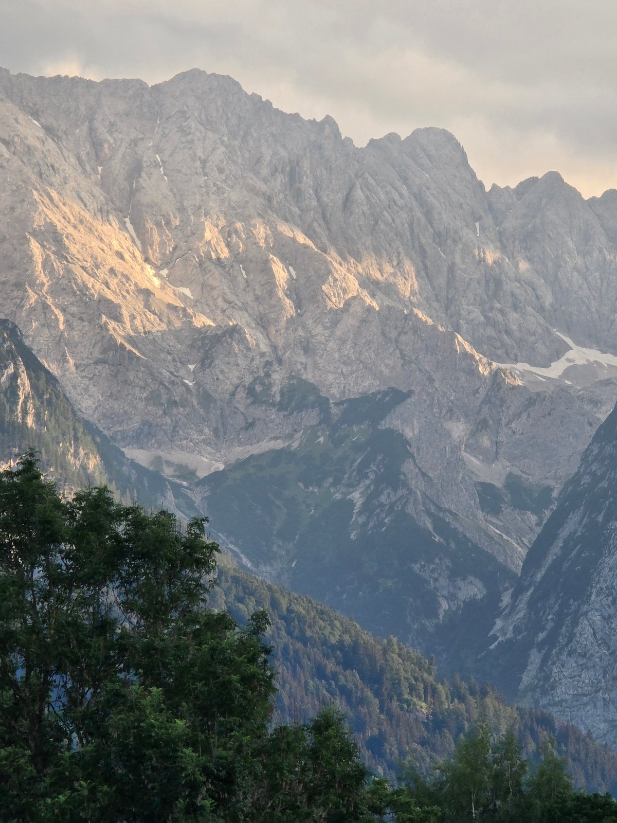 Summer evening in the Bavarian Alps, meadows to peaks