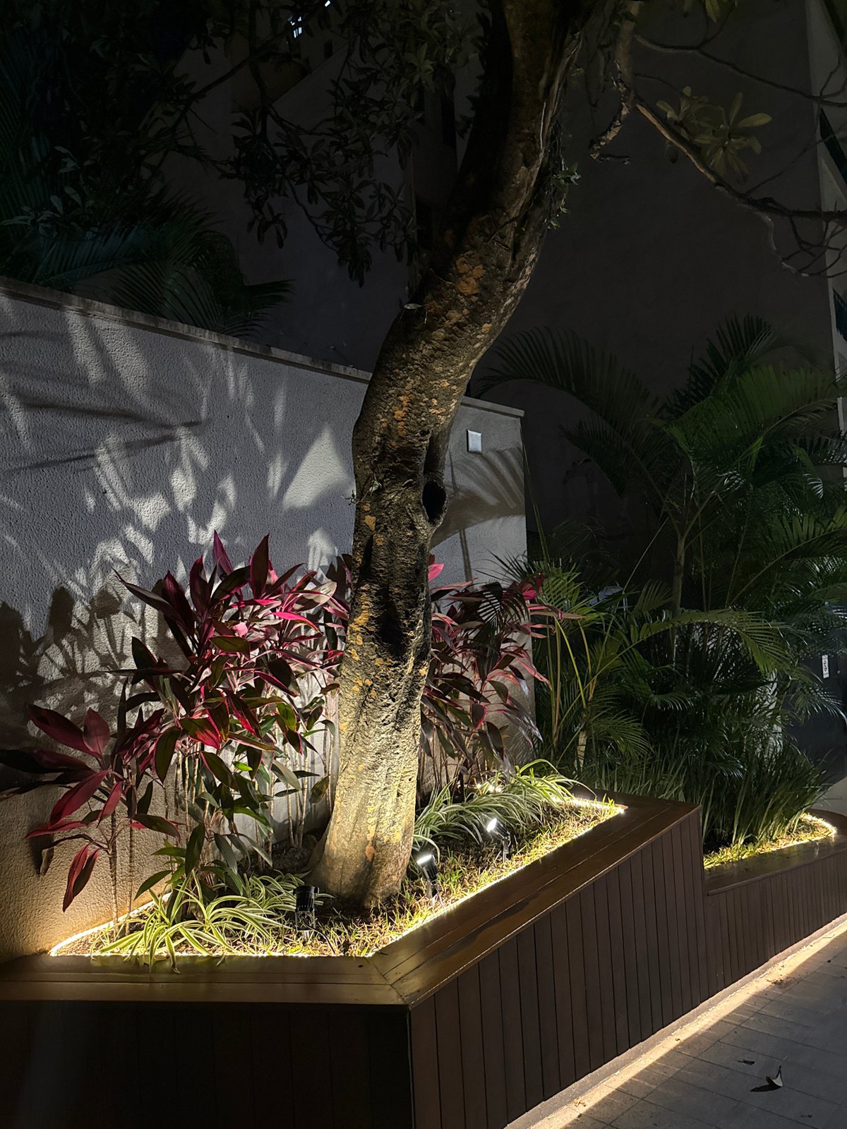 Nighttime urban documentation across São Paulo hotels and buildings