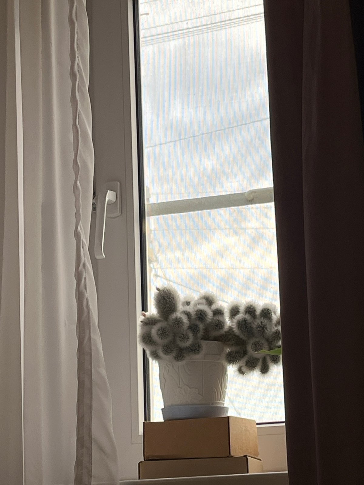 Stormy summer afternoon at home in Krasnyye Barrikady